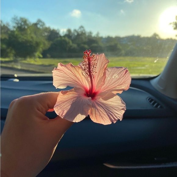 carlosyessier98